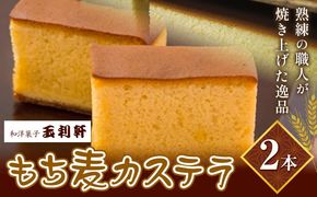 もち麦カステラ 2本 株式会社玉利軒《45日以内に出荷予定(土日祝除く)》岡山県 笠岡市 カステラ もち麦 お土産 和菓子 手土産 送料無料---T-09---