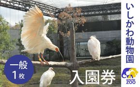チケット いしかわ動物園入園券（一般）石川県 能美市 172111_CX009