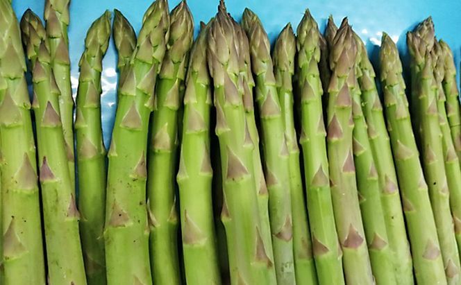 期間限定！極太アスパラ 【さぬきのめざめ1kg】  3Lサイズ 野菜セット 野菜 アスパラガス 