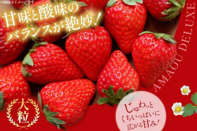 【期間限定発送】 いちご あまおう デラックス 4p [THE FARM_strawberry 福岡県 宇美町 um40azo780001] イチゴ 苺 フルーツ 果実 甘い 小分け