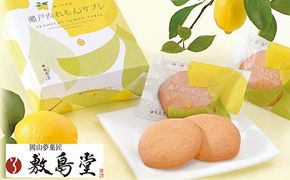 クッキー 敷島堂 瀬戸内れもん サブレ 15枚入 お菓子 焼き菓子 スイーツ 瀬戸内レモン 岡山銘菓 個包装 お取り寄せ 土産 お茶請け おやつ 