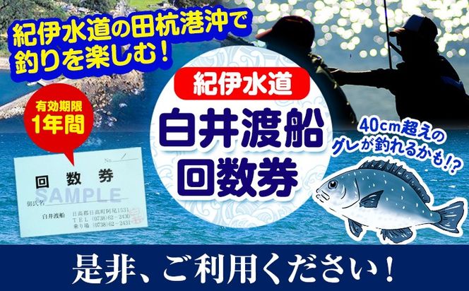 白井渡船回数券 利用券11枚組 白井渡船《30日以内に出荷予定(土日祝除く)》和歌山県 日高町 紀伊水道 田杭港沖 回数券 レジャー 釣り 乗船---iwsh_strk_90d_22_134000_11p---