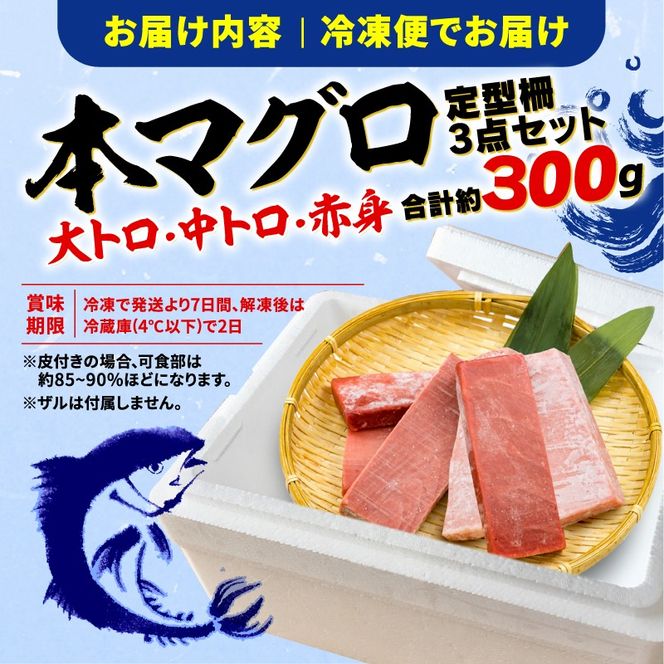 本まぐろ 大とろ 中とろ 赤身 詰合せ 約300g 本鮪 [ PT0014-000013]