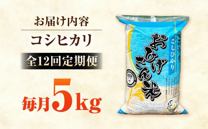 【12回定期便】コシヒカリ 白米 5kg×12か月 / 脇野コンバイン[AECP026]