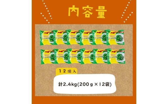 【志布志市制20周年記念】鹿児島県産 冷凍ブロッコリー＜計2.4kg＞(200g×12袋) a5-354