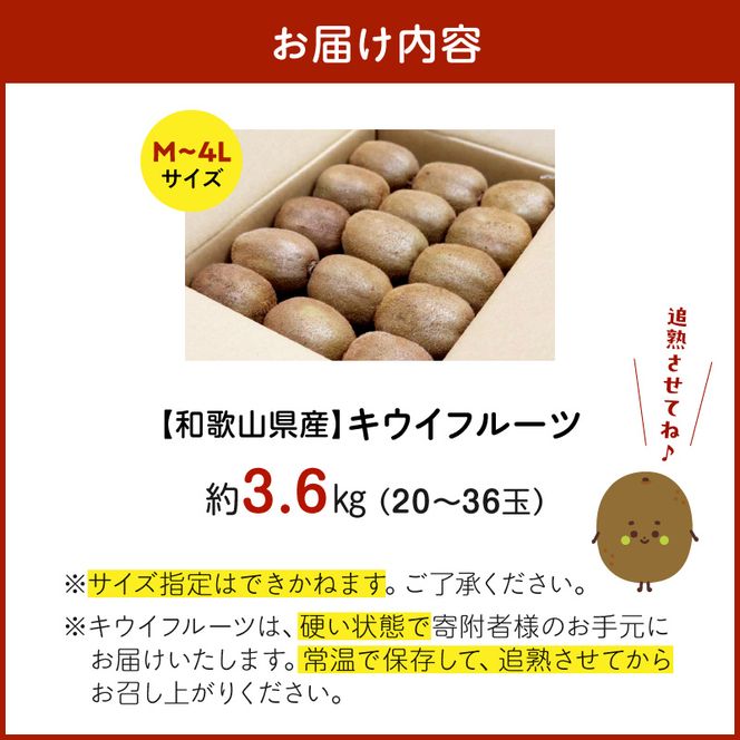 BL6174_【2027年1月下旬から順次発送】和歌山産　キウイフルーツ　M～4Lサイズ　約3.6kg　秀品