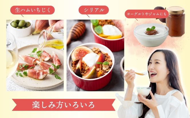 099H4538 【先行予約】【農家直送】朝採り 完熟いちじく 700g以上