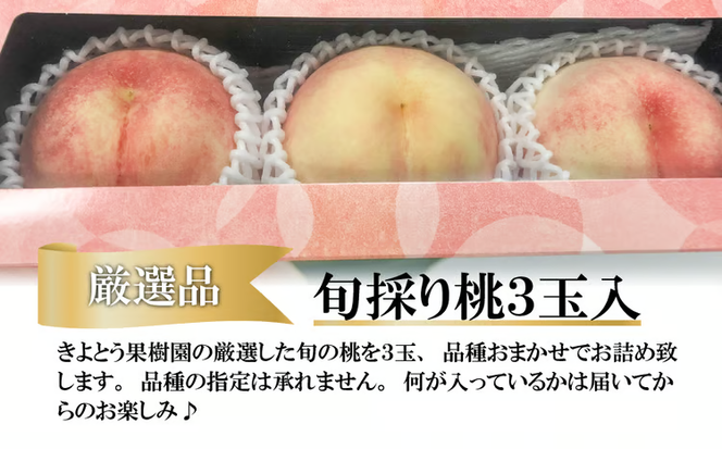 【2026年先行予約】厳選品 旬の桃（品種おまかせ）3玉入 (岡山県産) 【KF-A016-03】