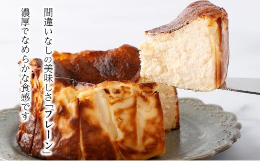 濃厚バスクチーズケーキ 選べる2種セット  バスクチーズケーキ クリーミーチーズケーキ クリスマス おやつ 冷凍 抹茶 プレーン かぼちゃ パンプキン ギフト プレゼント 誕生日 [C-694-SP]