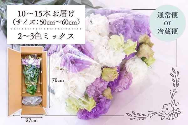 【R8.9月下旬から11月初旬】トルコキキョウ 10本から15本 切り花 生産者おまかせ 2~3色ミックス 白 紫 緑 トルコギキョウ 秋限定 仏花 結婚祝い 旬の花 季節の花 八重咲き フリンジ咲き 花 生花 花束 冷蔵便 国産 庄内町フラワーラボ