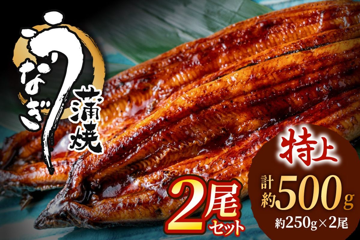 うなぎ蒲焼き2尾 計500g以上(250g以上×2尾)[魚住商店]_AS1964-00 うなぎ 鰻 蒲焼 真空パック 福岡県宗像市 宗像市 福岡 宗像