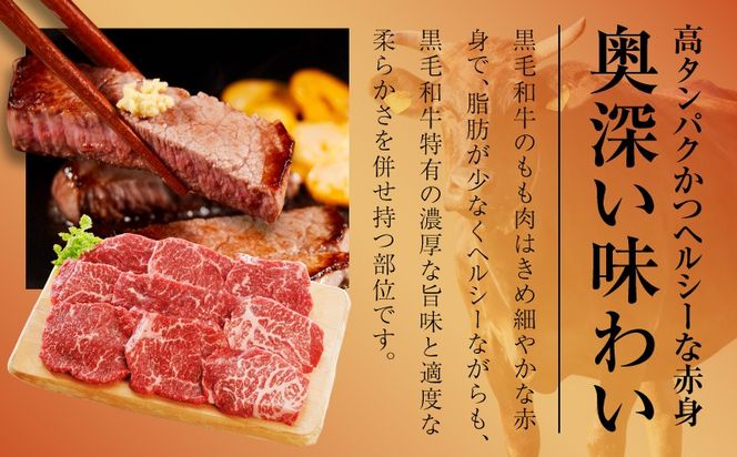 mrz0435 【氷温熟成×極味付け】黒毛和牛赤身もも  ステーキ 9枚 総量900g【100g×9枚 味付け 焼くだけ 簡単調理 牛肉】