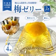 大河原の梅と清水のゼリー うめ果りり ４個入り お菓子 スイーツ 和スイーツ 梅の風味 梅ゼリー おやつ 食後 ひんやりスイーツ 涼 夏 さっぱり やさしい甘味 酸味 