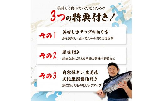 ＜3回定期便＞違いの分かる鮮魚店店長が送る 高知のお魚定期便！！