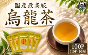 烏龍茶 ティーバッグ 計100P 国産 10P × 10袋 お茶 飲み物 飲料 茶 ウーロン茶 ティー パック 10包 ホット アイス 薮崎園 静岡県 藤枝市