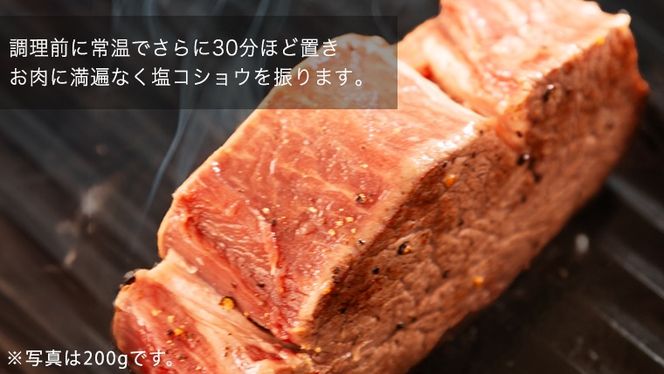 【 常陸牛 】 ヒレステーキ 450g ( 150g × 3枚 ) ステーキ ヒレ ヒレ肉 牛肉 ブランド牛 A4 A5 お肉 肉 黒毛和牛 和牛 国産黒毛和牛 国産牛 希少部位 焼肉 焼き肉 バーベキュー BBQ (茨城県共通返礼品) [BX03-NT]