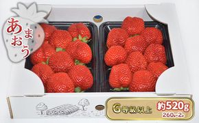 いちご あまおう G以上 約520g（260g×2パック）配送不可 北海道 東北 沖縄 離島 果物 フルーツ 旬のいちご 食後 デザート 農家直送 大粒 