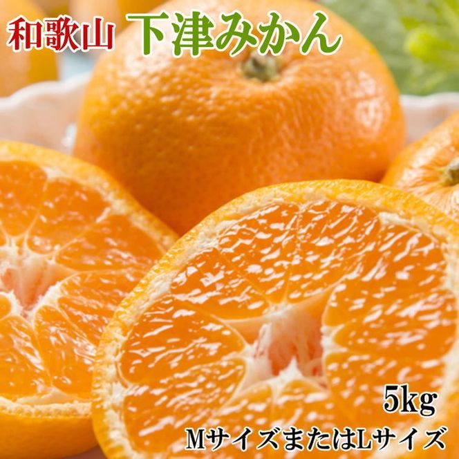 【産直・秀品】和歌山下津みかん約5kg（MサイズまたはLサイズのいずれかをお届け）