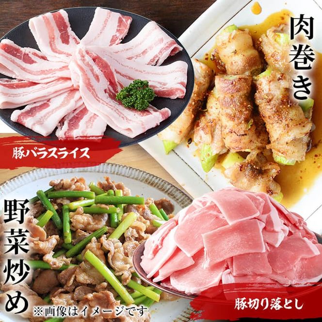 【定期便 全4回】九州産豚肉 生活応援定期便(計9.3kg) t004-012