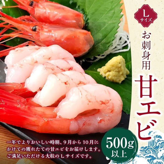 【ふるさと納税】一年でよりおいしい時期のお刺身用甘エビ（船内冷凍）Lサイズ 500g以上 30匹前後 えび 海老 エビ 甘エビ 甘海老 甘えび あまえび 刺し身 お刺し身 海鮮 冷凍 お取り寄せ【配送不可地域：離島】【1102653】兵庫県 新温泉町 送料無料