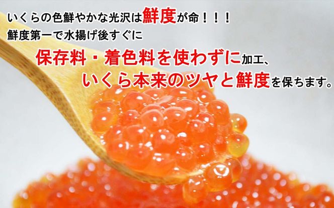北海道産 網元特製 塩いくら 鮭卵 200g