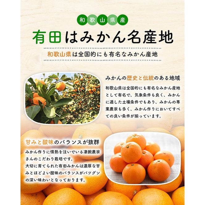 【先行予約】ご家庭用 完熟 有田みかん 3.2kg(3kg+200g(傷み補償分))