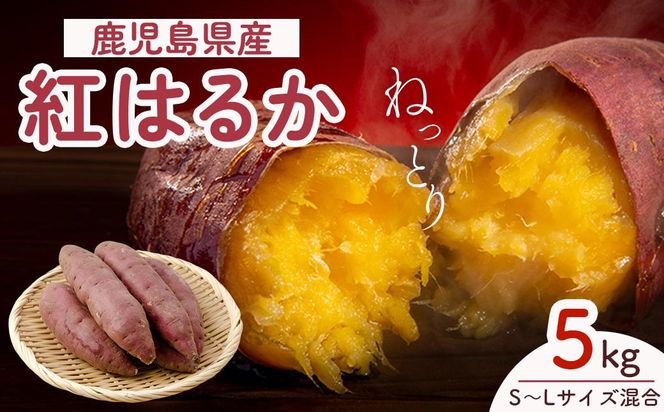 y蒬zys\zAIg@g͂邩@5kg 464686_YF002