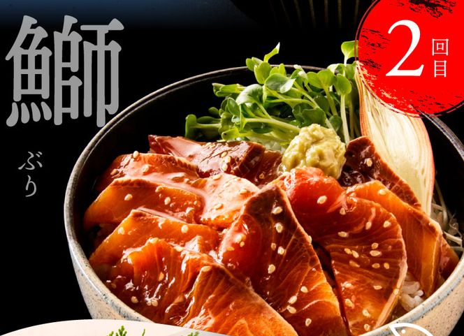 【CF-R7hbk】t021kyf　海鮮 芸西村3ヵ月連続定期便 土佐の漬け丼づくし定期便／1回目：真鯛の漬け丼の素、2回目：ブリ漬丼の素、3回目：かんぱち漬丼の素 本場 高知 土佐 海鮮 自慢 返礼品 お楽しみ〈高知市共通返礼品〉