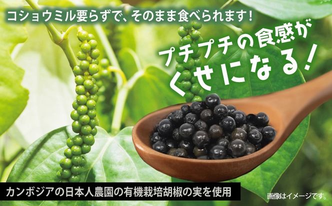 005A747 生胡椒 極(きわみ) 25g×1本【能登の塩 コショウ こしょう カンポットペッパー スパイス カンボジア】