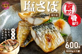 【Z9-023】【訳あり】骨取り 塩さば切り身(600gx1袋)