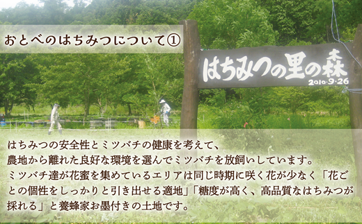 【2024年採れたて！新物！】＜おとべのはちみつ アカシア500g×1本＞北海道 道産 乙部町 蜂密 ハチミツ 魚つきの森からの恵み 天然 非加熱はちみつ 非加熱 アカシア蜜 ハニー 食品 おすすめ ミネラル 豊富 健康