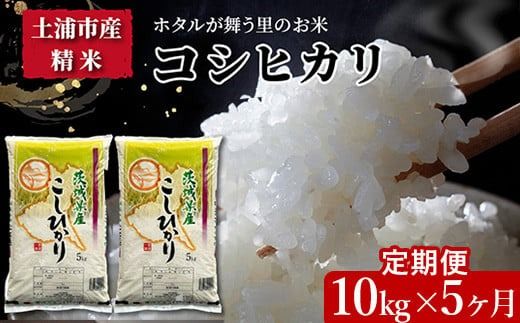 【定期便 5ヶ月】令和7年産　土浦市産コシヒカリ　精米10kg　ホタルが舞う里のお米　※離島への配送不可 ※2025年9月中旬頃より順次発送予定