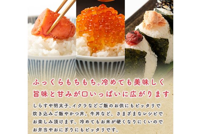 《定期便3ヶ月》令和7年産 【無洗米】 あきたこまち 5kg|23_kml-020503