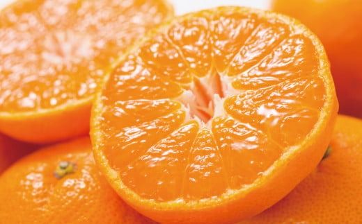 ブランド有田みかん【Ｌ】秀品10kg ／産地直送／薄皮で甘い美味しい和歌山県産／紀伊国屋文左衛門本舗　※2025年11月上旬～2026年1月中旬頃 順次発送（お届け日指定不可）【kztb141C】