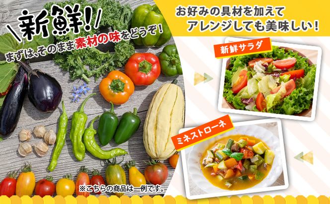 【2026年発送】北海道産 有機 野菜BOX 8種類 詰め合わせ セット 採れたて 夏野菜 オーガニック 旬 新鮮 詰め合わせ お取り寄せ 産地直送 産直 野菜 農作物 ギフト 野菜セット 