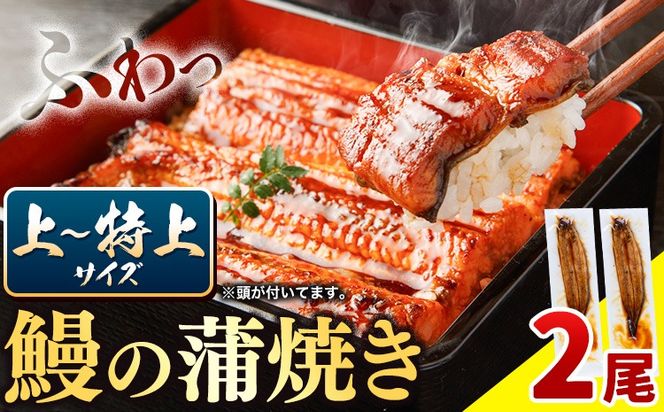 徳島県産 うなぎの蒲焼き2尾 タレ・山椒付《30日以内に出荷予定(土日祝除く)》うなぎの蒲焼き 鰻 徳島県産---sanagouchi_lcl_44_2bi---