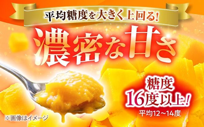 【優秀賞受賞】沖縄県産 完熟マンゴー 贈答用 1kg (2〜3玉) マンゴー 沖縄 果物 フルーツ ギフト 沖縄市 / MAIFARM[BCAN001]