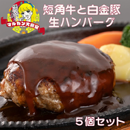 短角牛と白金豚 生ハンバーグ 5個セット【マルカンビル大食堂料理長監修】 【1839】