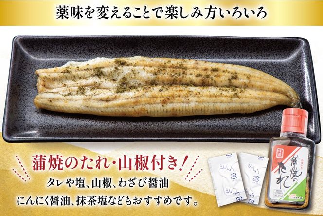 うなぎ 国産 白焼 定期便 160g程度 2尾 12回 総計24尾 3.84kg以上 タレ山椒付き 真空パック 個包装 [駿河淡水 静岡県 吉田町 22424508] 静岡県産 静岡 鰻 ウナギ うなぎ白焼き うなぎ白焼 鰻白焼き 白焼き 化粧箱 冷凍 unagi