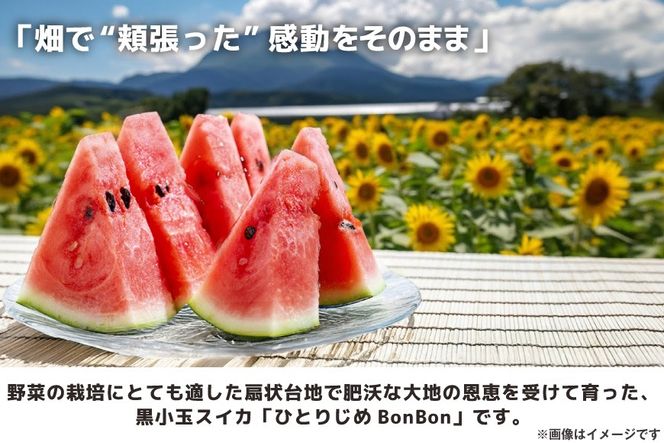 【令和8年度出荷分】BE275 黒小玉スイカ「ひとりじめBonBon」 5kg(1.7kg以上×2~3玉) ～名水百選の里 島原産～ [ Bunkou Farms 島原 合同会社 島原市 BE275 ]