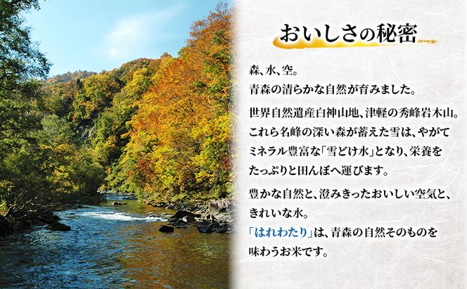 【3ヶ月定期便】【令和8年産新米先行予約】はれわたり 10kg(5kg×2袋) ×3回 計30kg 米 お米 白米 精米 ブランド米 単一原料米 5キロ 青森県産 はれわたり 青森県 鰺ヶ沢町