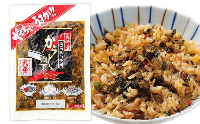 【長崎県産高菜100%使用】 高菜漬け 食べ比べ セット 620g (からし高菜 120g ごはん高菜 500g) / 漬物 高菜 漬け物 ご飯のおとも 惣菜 / 南島原市 / 大平食品[SAK008]