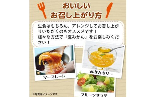 夏みかん 7.2kg　※2027年4月中旬頃～2027年4月末頃順次発送（お届け日指定不可）【uot775】