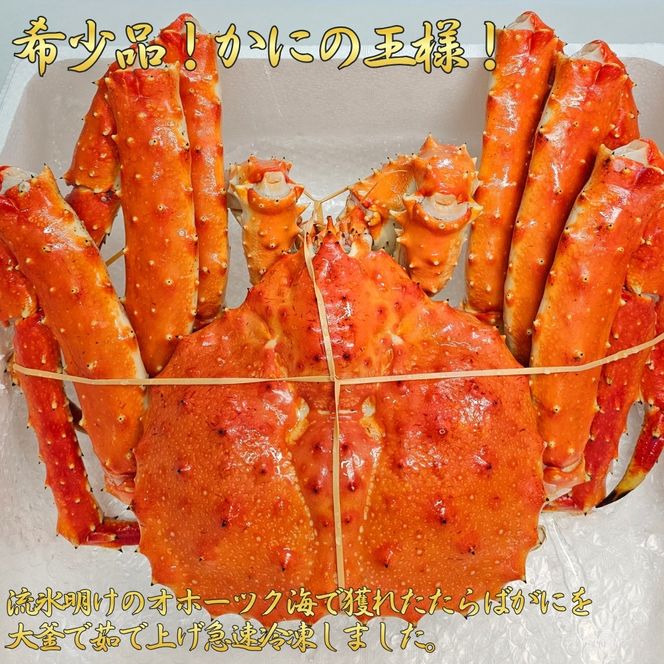 113-7 たらばがに姿　3.9kg