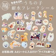 うちの子耐水フレークシール《 犬 猫 ペット シール フレークシール 耐水 オリジナル セミオーダー かわいい おすすめ 》【2400N13316】