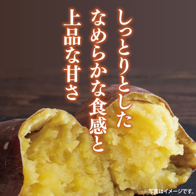 【2025年9月より順次発送】さつまいも(シルクスイート) 約5kg｜さつまいも 芋 サツマイモ シルクスイート 先行予約 茨城県 行方市(HP-2)