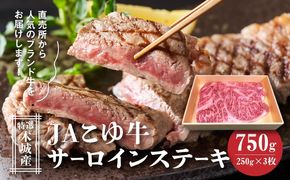 JAこゆ牛 特選木城産 サーロインステーキ 750ｇ K56_0001