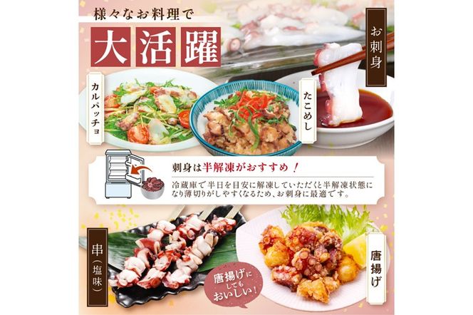 「しらぬか産柳だこ」とBBQに「たこ串(塩味・味噌味・醤油味)」のセット