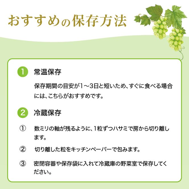 ぶどう 2026年 先行予約 ご家庭用 シャイン マスカット 晴王 優品 2房入り（1房 530g以上 露地栽培） ブドウ 葡萄  岡山県産 国産 フルーツ 果物 