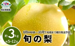 旬の梨 約3kg (約5～12玉) 《黒岩果樹園》■2025年発送■※8月中旬頃～10月下旬頃まで順次発送予定